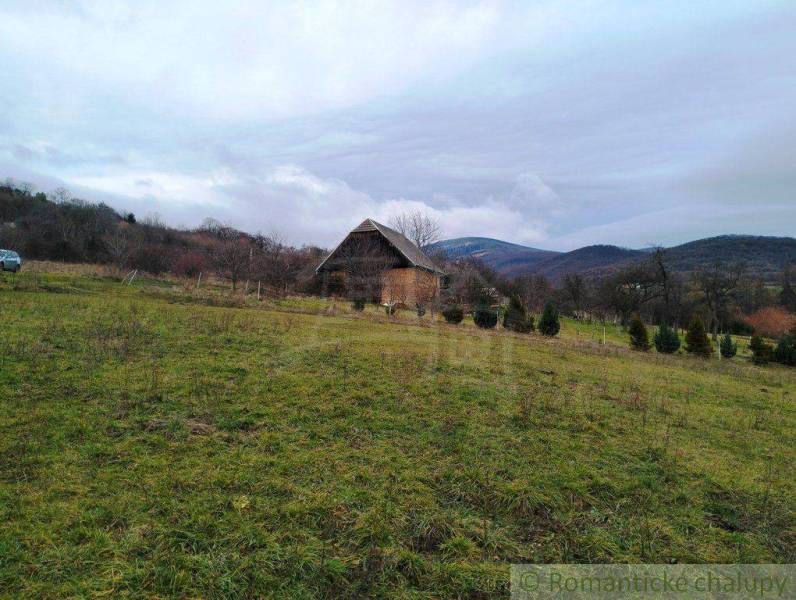 Nové Mesto nad Váhom Agrarian and forest land Sale reality Nové Mesto nad Váhom