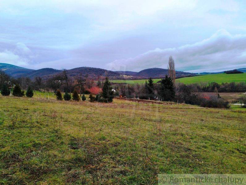 Nové Mesto nad Váhom Agrarian and forest land Sale reality Nové Mesto nad Váhom