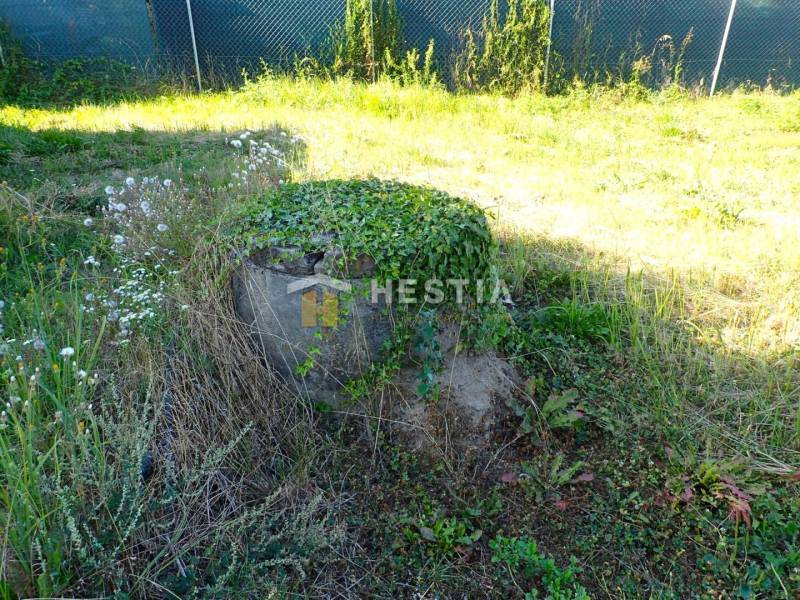 Štefanov Land – for living Sale reality Senica