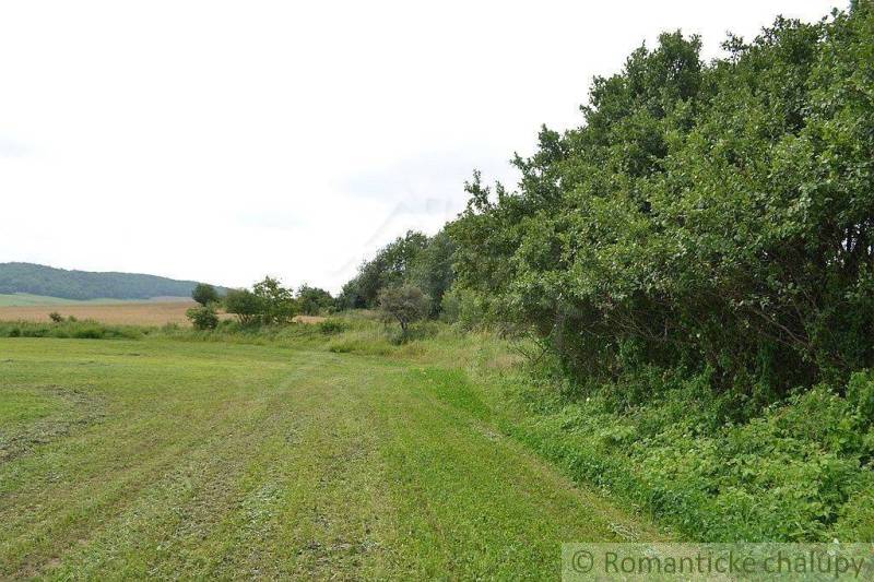 Bardejov Agrarian and forest land Sale reality Bardejov