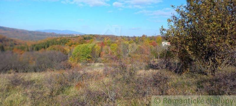 Ábelová Agrarian and forest land Sale reality Lučenec