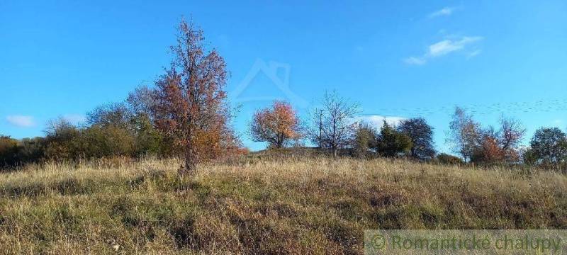 Ábelová Agrarian and forest land Sale reality Lučenec