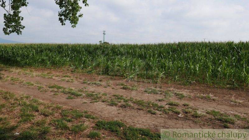 Pezinok Agrarian and forest land Sale reality Pezinok