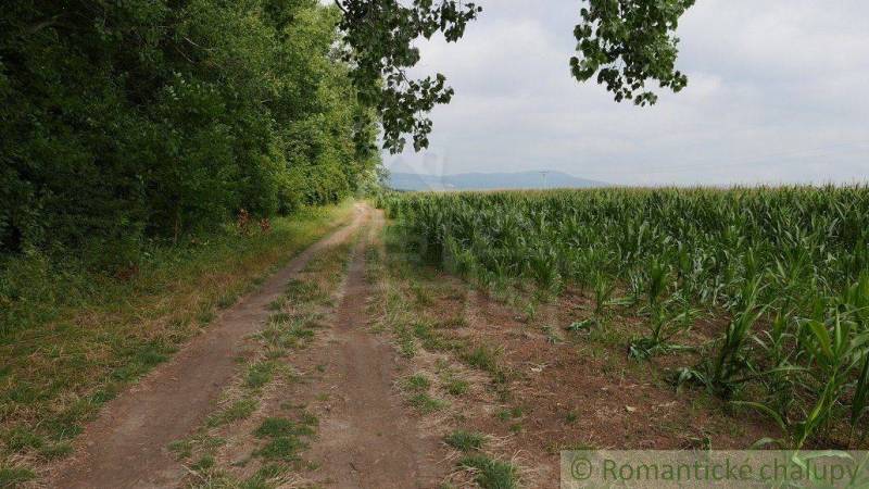 Pezinok Agrarian and forest land Sale reality Pezinok