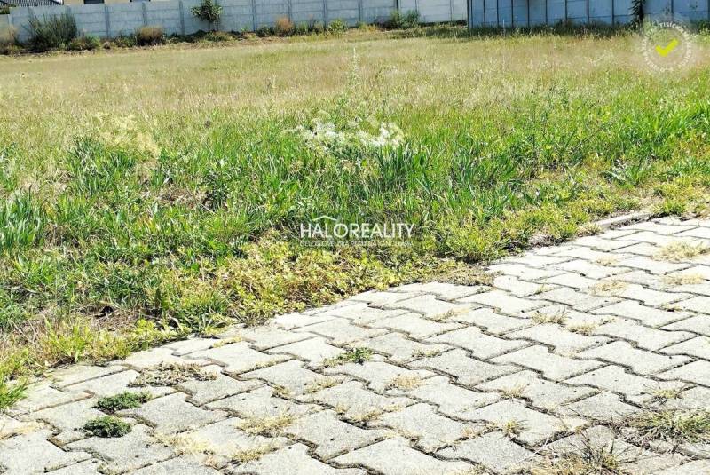 Kútniky Land – for living Sale reality Dunajská Streda