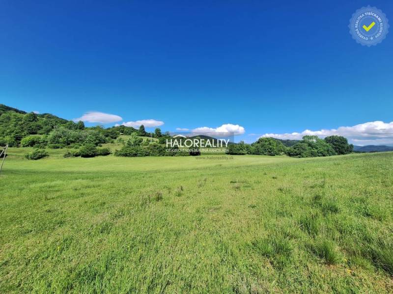 Potok Land – for living Sale reality Ružomberok