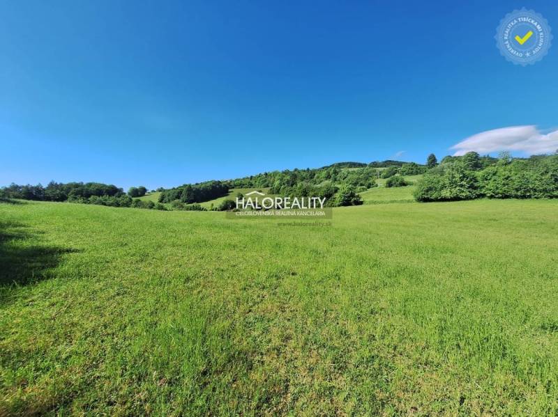 Potok Land – for living Sale reality Ružomberok