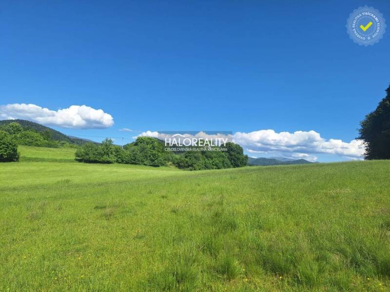 Potok Land – for living Sale reality Ružomberok