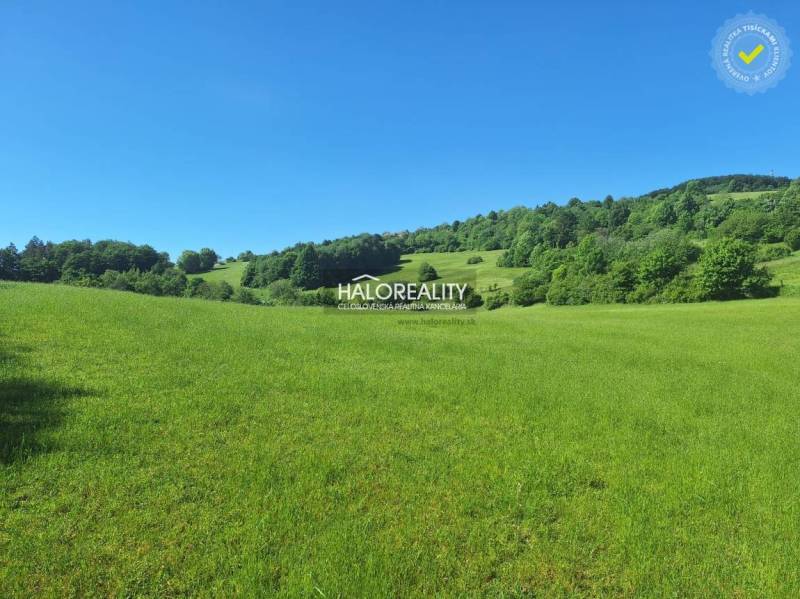 Potok Land – for living Sale reality Ružomberok