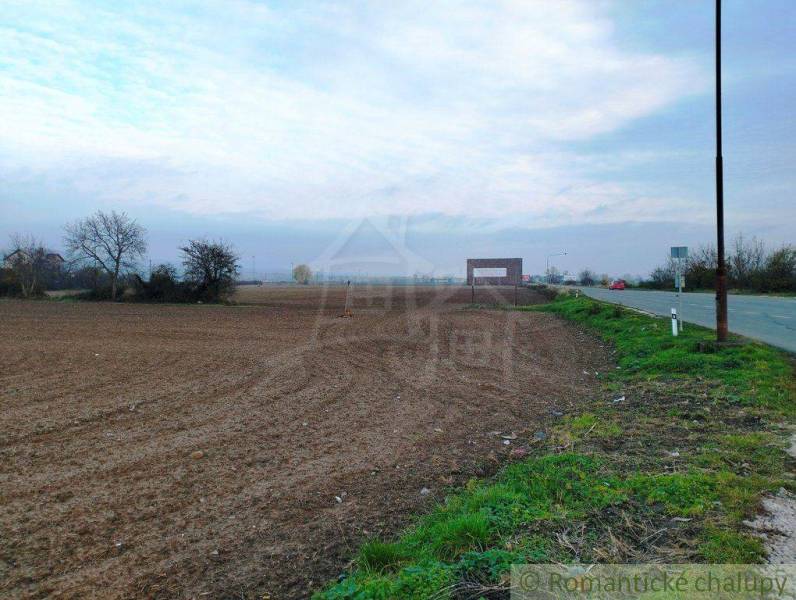 Trenčianske Bohuslavice Agrarian and forest land Sale reality Nové Mesto nad Váhom