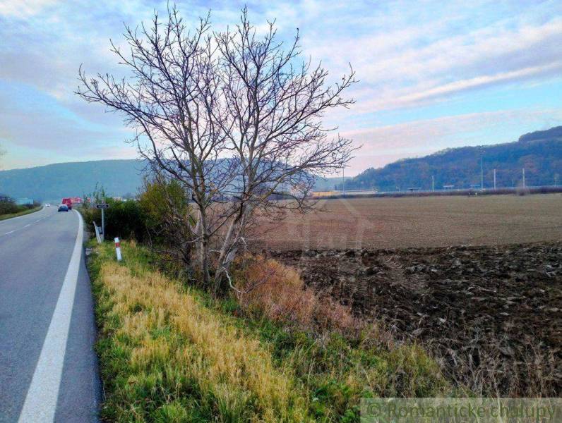 Trenčianske Bohuslavice Agrarian and forest land Sale reality Nové Mesto nad Váhom