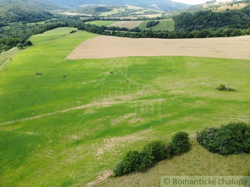 Osadné Agrarian and forest land Sale reality Snina